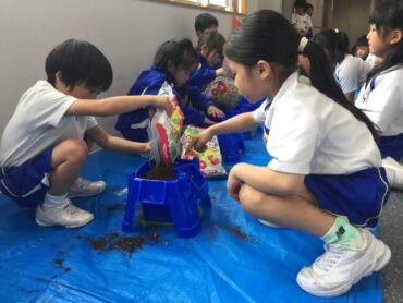 １年　生活「わたしのあさがお」