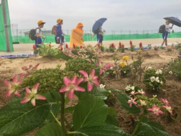 梅雨入り