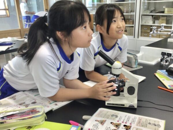 ５年　理科「花から実へ」